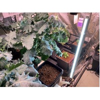 26w LED Grow Bar - IntroGro - 0
