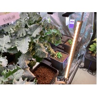 42w LED Bloom Bar - IntroGro - 0