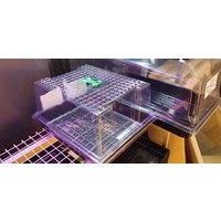 GT Single Vent Propagator package - lid plus inner gridded tray and outer solid tray - 0