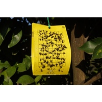 Yellow Sticky Trap each - traps a wide range of insects including scarid fly white fly - yst30 - 0