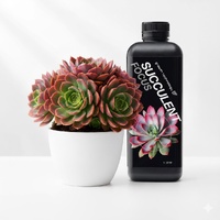GT Succulent Focus 1L - 0