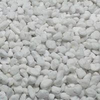 Coarse Perlite 100L bag - Chillagoe - 0