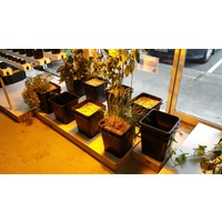 2 Pot Network System - includes Control Unit - 2 x Growing Cells - Perlite and Fittings - 0