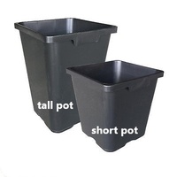 Square Pot - Tall 290mm black WITH HOLES - 0