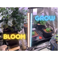 26w LED Grow Bar - IntroGro - 1