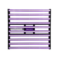Zeus LED extreme 1000 Lumatek - 1