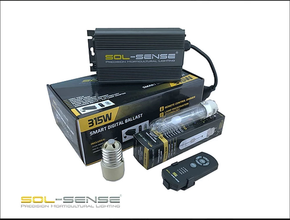 Sol-Sense Ballast lamp and air cooled reflector with removable glass