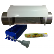 Long Cool Tube 600W Lumatek Ballast GE lamp - silver reflector (or white if unavailable)
