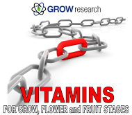 Vitamins 250ml Grow Research Performance Vitamins 250ml