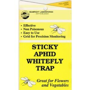Yellow Sticky Trap each - traps a wide range of insects including scarid fly white fly - yst30