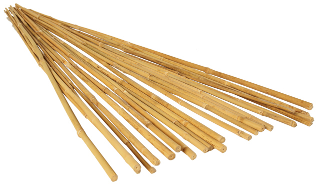 Bamboo Stake Natural colour 60cm 8-10mm round cp500