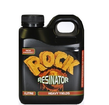 Rock 1L Resinator