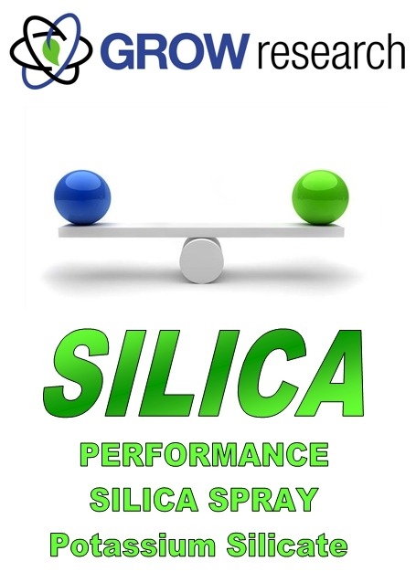 Silica 1l Grow Research SILICA spray 1ltr