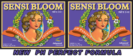 Sensi Bloom A+B 1L 2L set Advanced Nutrients