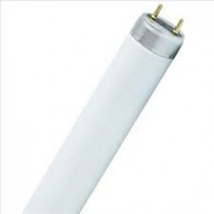 36w 4 foot fluro Cool white tube