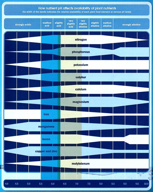 Nutrient Ph Uptake Chart