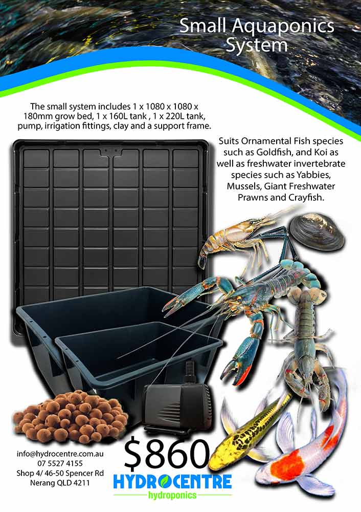 Aquaponics Small Aquaponics System