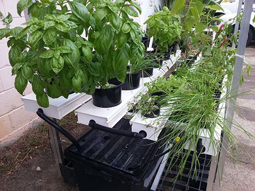 Gold Coast Hydroponics Supplies