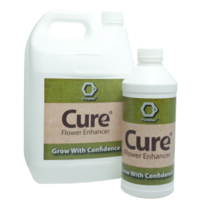 Cure *sample size* - 1 per person only
