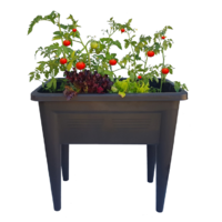 Raised garden bed planter - planter bare without media