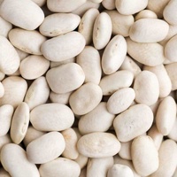 Dried Beans Eden Seeds