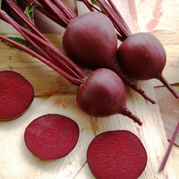 Beetroot Eden Seeds