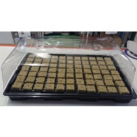 Jumbo 2 Vent Propagator Lid and Tray - 530 x 320mm - 130mm high