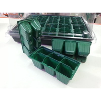 mini propagator for 6 seedlings