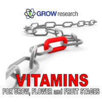 Vitamins 1L Grow Research Performance Vitamins 1L