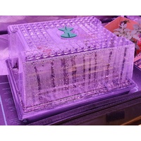 GT Single Vent Propagator Package