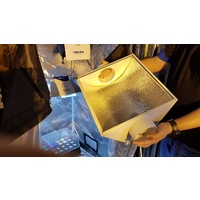 250W HPS light with 125mm Small Air Cooled Reflector and ballast with removable glass