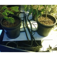 Hydrocentre 4 Pot Satellite System