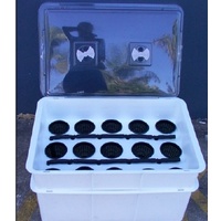 Large Clear 3 vent propagator lid - lid only - large propagator lid to suit 23L crate (not exact fit)