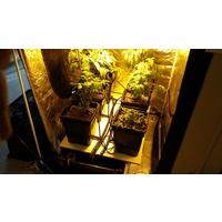 6 Pot Recirculating Satellite Hydroponic System kit - Clay pots pump irrigation tank timer - high performance