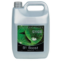 Cyco B1 Boost 5L