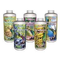Flora Nova Nectar - Pineapple Rush 1 Gallon 3.79L - flushing agent