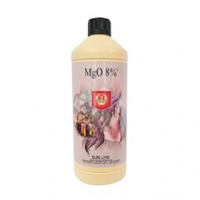 Magnesium 1L H+G