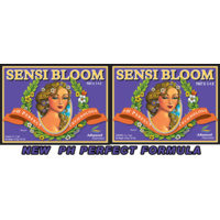 Sensi Bloom A+B 1L 2L set Advanced Nutrients