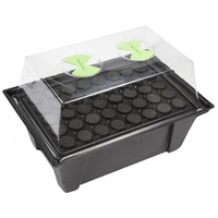 X-stream 20 clone propagator