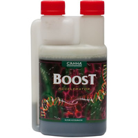 Canna Boost 250ml Accelerator - amazing flowering accelerator