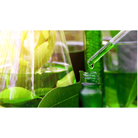 Isopropyl Alcohol 5 Litre - 100% Isopropanol - for herbal oil extraction and cleaning - IPA