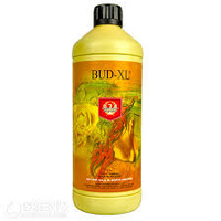 Bud XL 1L H+G