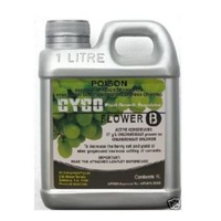 Cyco PGR Part B 1L