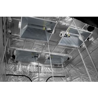 Gorilla Tent 9 x 9 274cm x 274cm x 244cm high