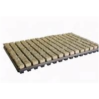 36/77 Carton 36mm cubes x 77cubes in plastic tray - Full CARTON of 18 - Grodan Rockwool