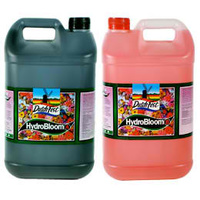 Dutch fest Bloom 10ltr=2x5L set