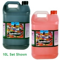 Dutch fest bloom 50ltr=2x25L set
