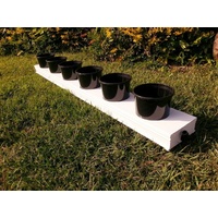 Solo 150 kit 6 pot system - 165mm pots