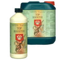 Top Booster 5L H+G