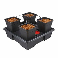 Wilma XL 4 cell with media - low level growing system with pump tank pots irrigation